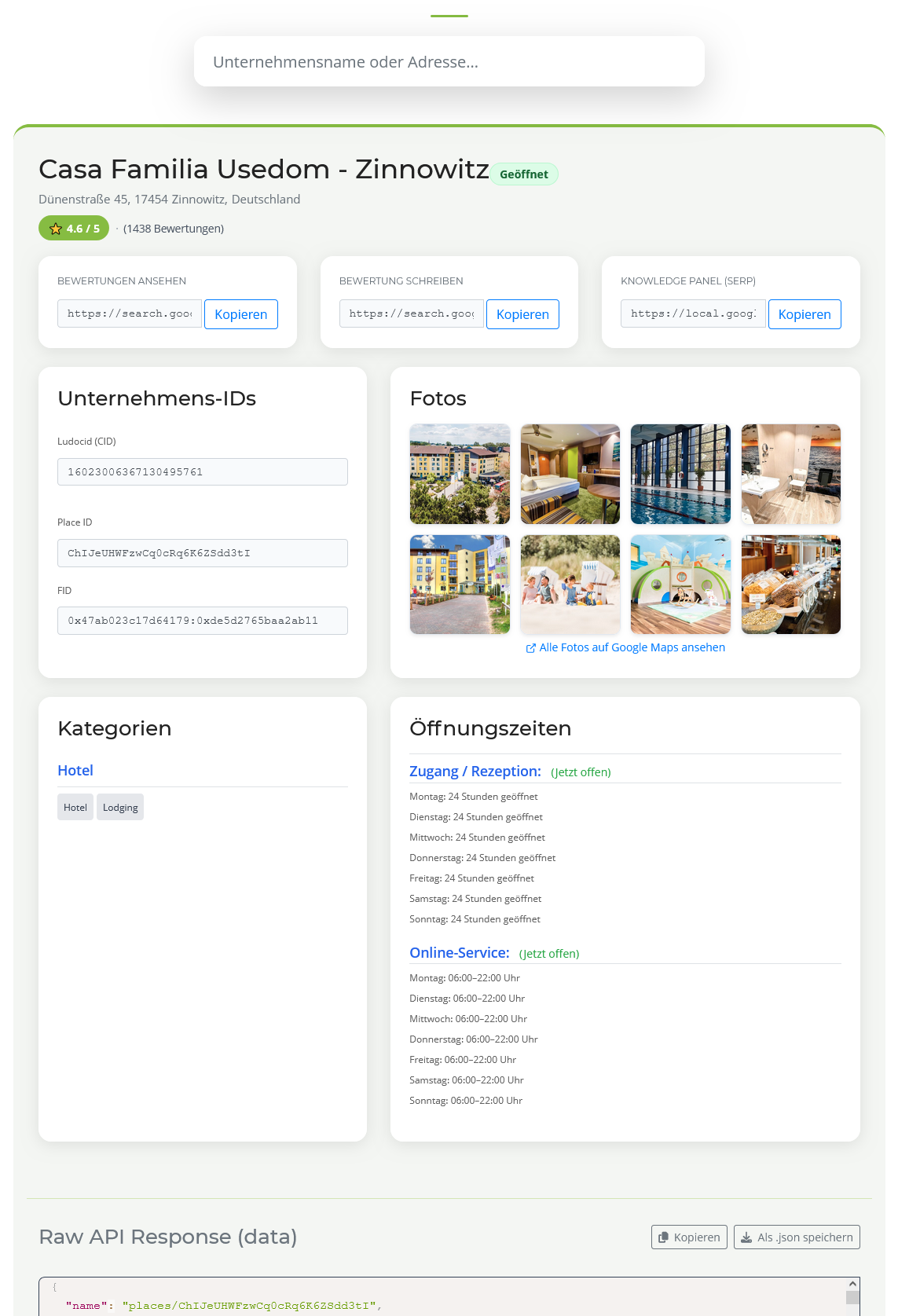 Vorschau: Ausgabe des Google ID & Review Generators